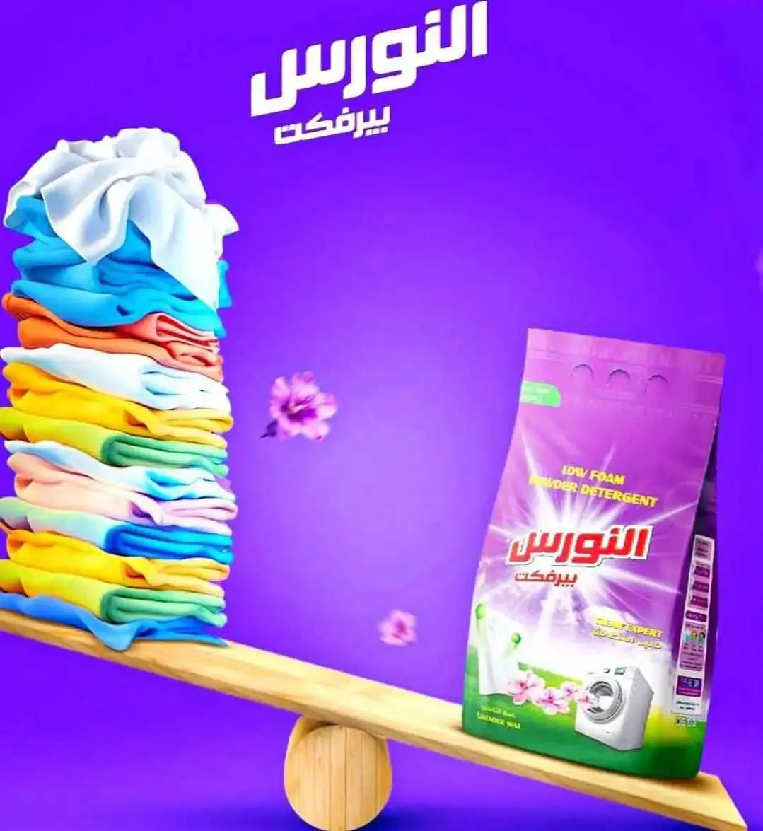 النورس - صورة 2